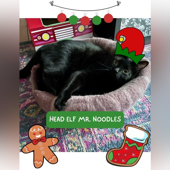 💚❤️Happy Holidays to all my wonderful supports and Posh Pals! See ya in 2026!💚❤️ - Picture 12 of 13